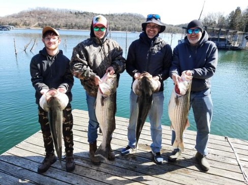 Nice Striped Bass